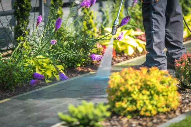 Best Gas Station Cleaning  in Port Jefferson, NY